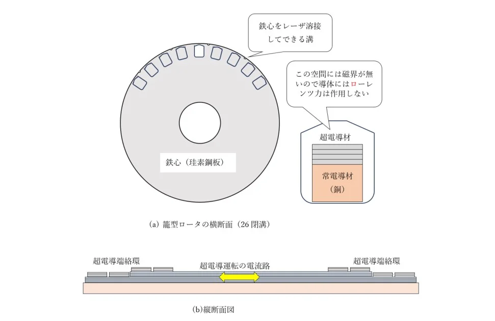 左：単極（unipolar）磁石と右：異極 (heteropolar)磁石を比べるとどんなことが言えるだろうか？