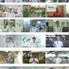 会社案内動画