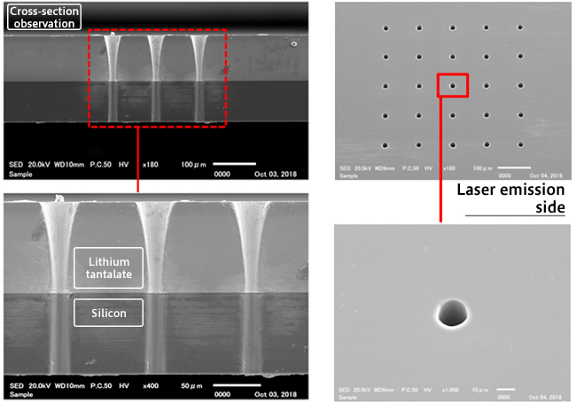 Lithium tantalate & silicon wafer