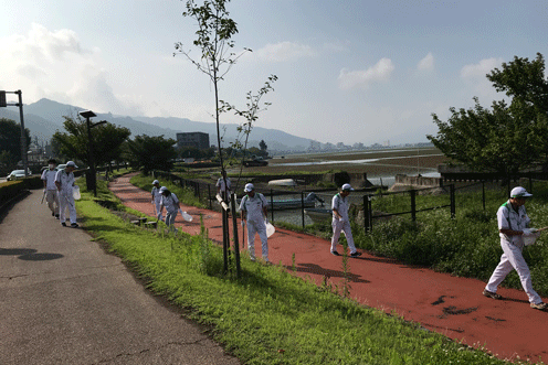 夏の諏訪湖アダプトプログラムの様子