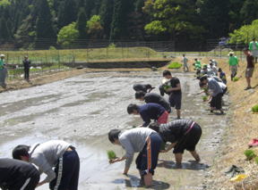 地元地域と協力した環境保全活動の様子