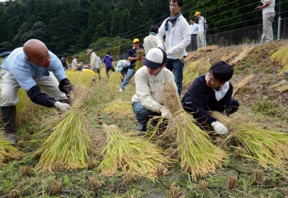地域交流・農村振興活動の様子